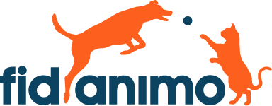 Fidanimo