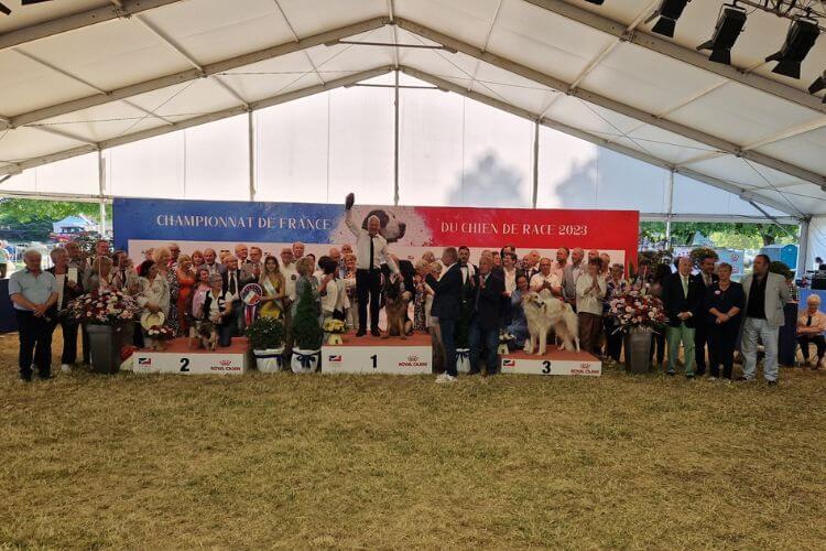 Chiens de France à l’exposition canine de Dijon